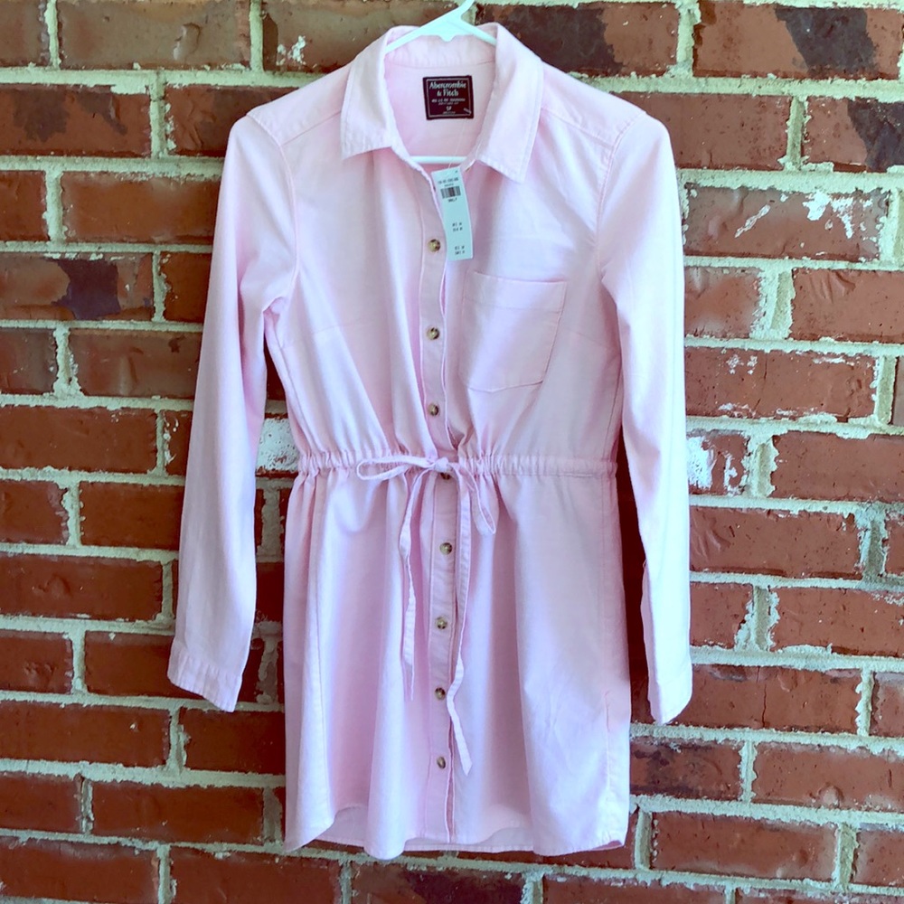 Abercrombie & Fitch oxford shirtdress.